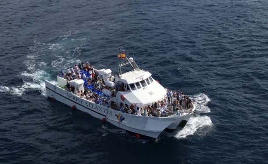 Avistamiento de ballenas y delfines en Barbate