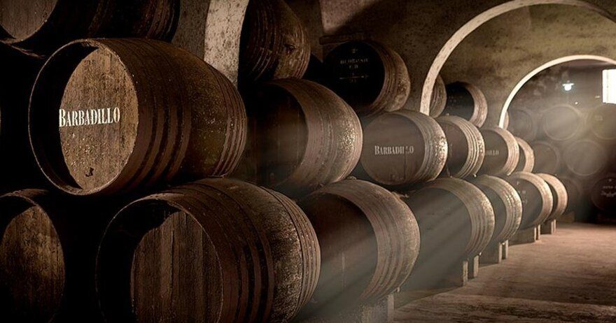 Bodegas Barbadillo: Visita Guiada con Degustación de 3 Vinos