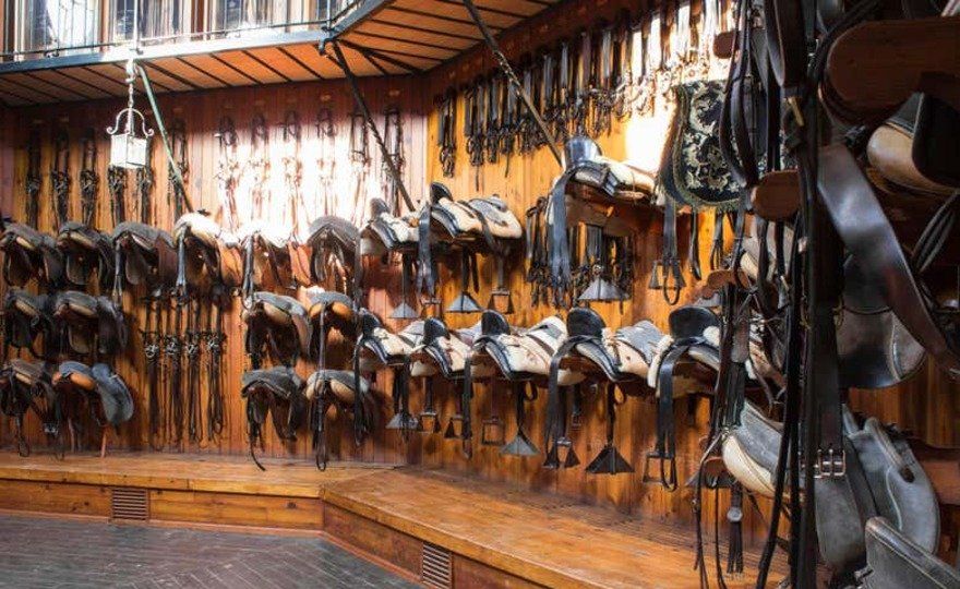 Espectáculo ecuestre en Jerez de la Frontera