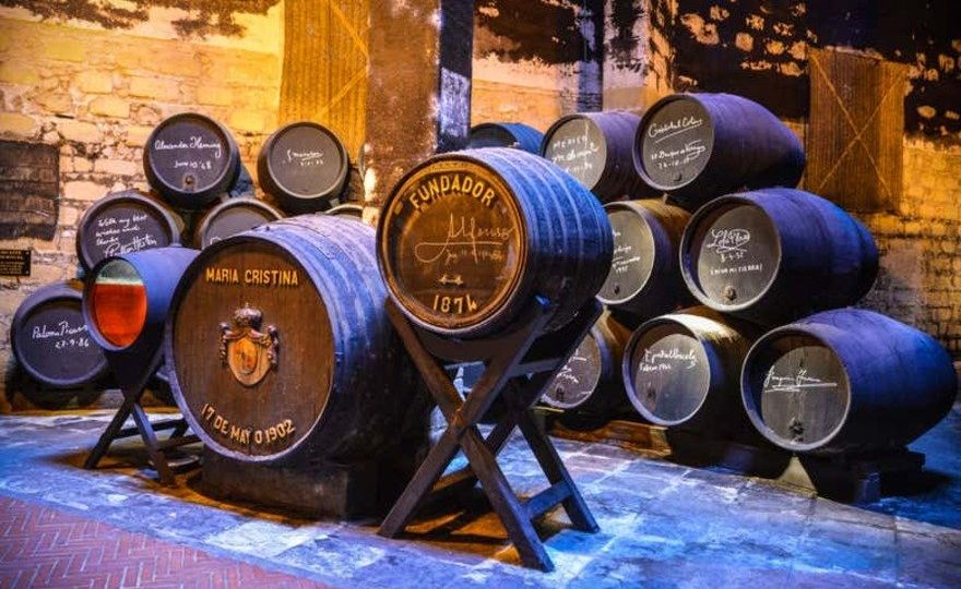 Visita a las Bodegas Fundador