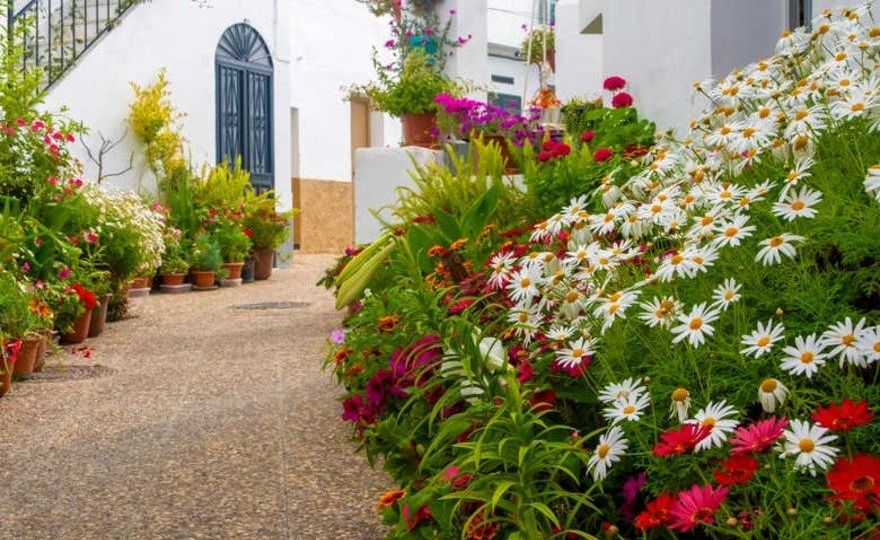 Excursión a Vejer y Conil de la Frontera en grupo reducido