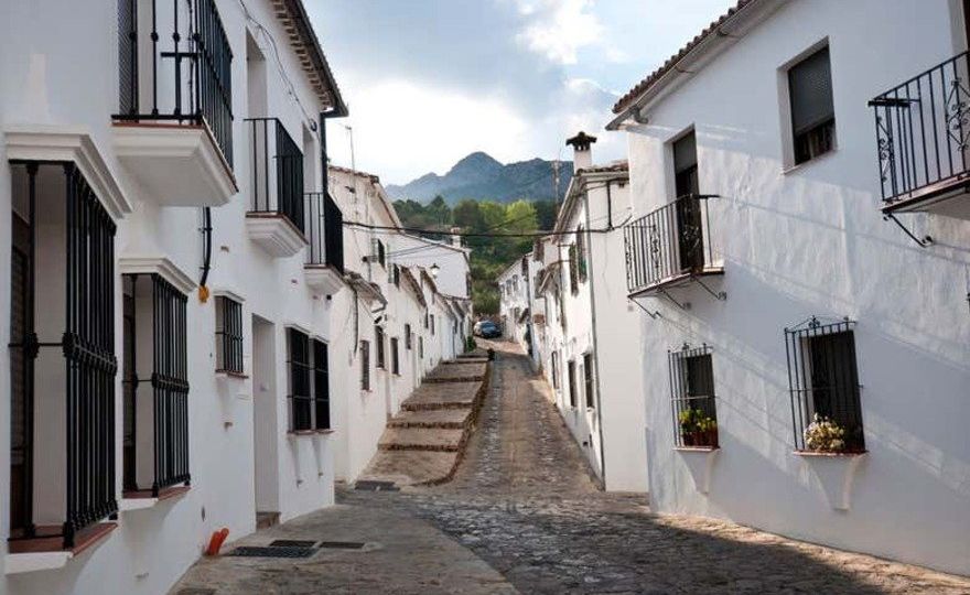 Excursión a los pueblos blancos