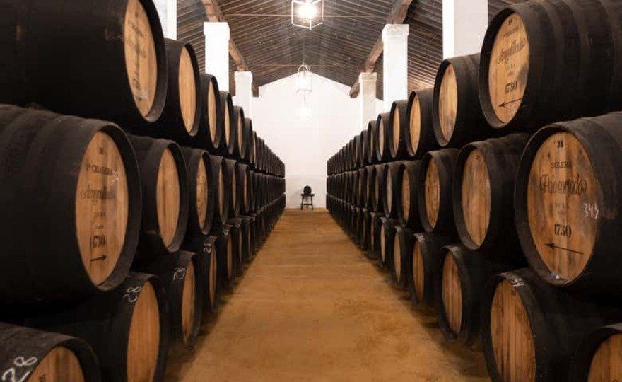 Visita a las Bodegas Álvaro Domecq