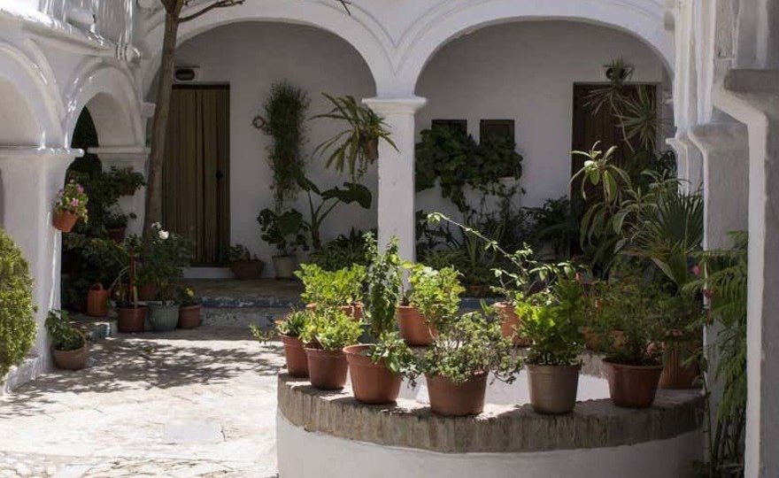 Tour privado por Vejer de la Frontera