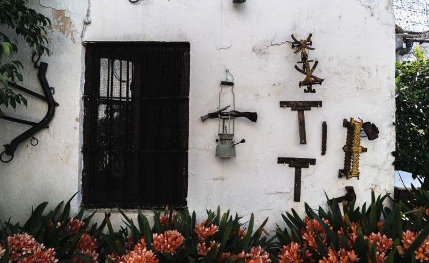 Visita a las Bodegas Barón