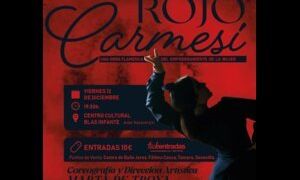 Rojo Carmesí - Compañía de Estudiantes de Formación Profesional de Flamenco – Marta de Troya