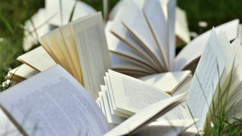 Feria del Libro de Cádiz