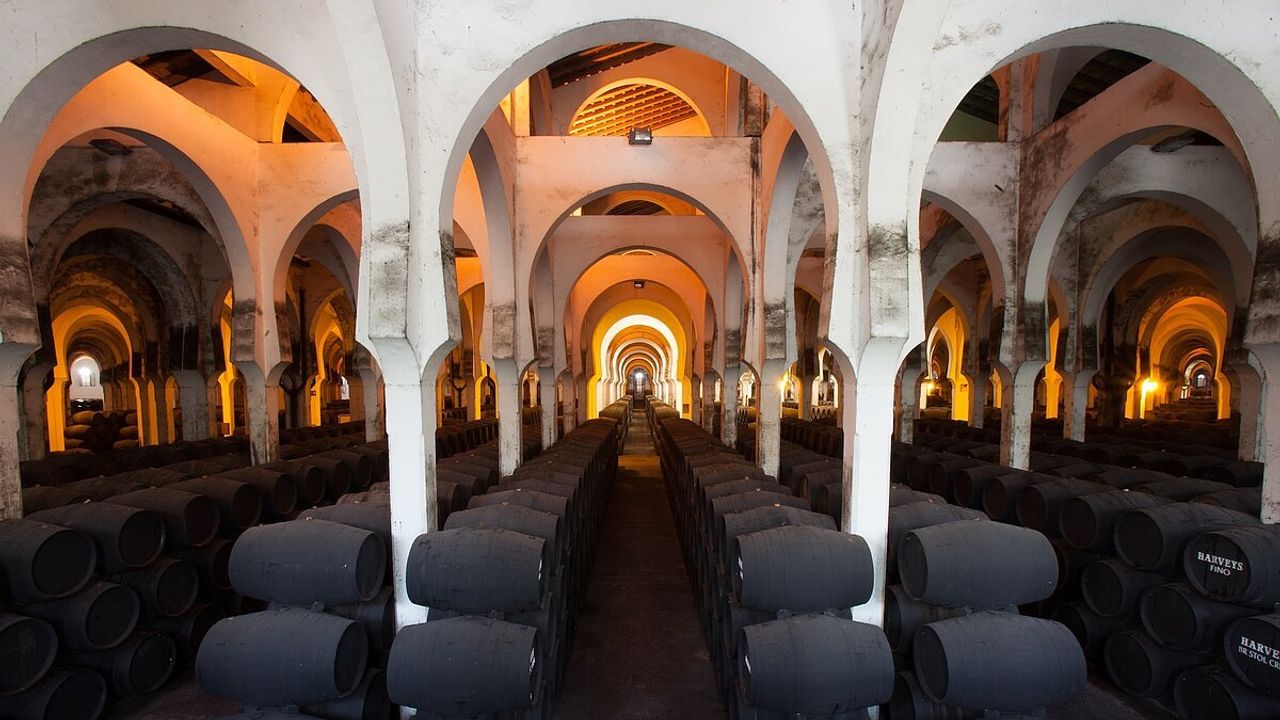 Bodegas Fundador: una visita con historia, catas y maridajes en Jerez
