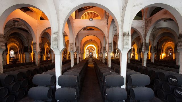 Bodegas Fundador: una visita con historia, catas y maridajes en Jerez